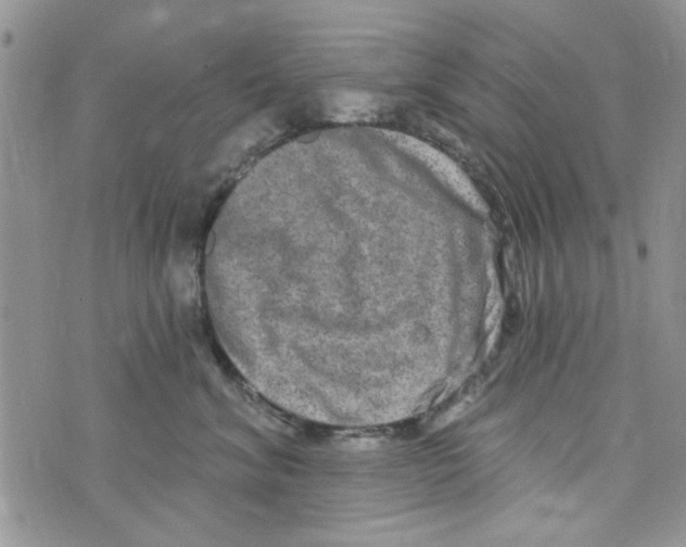 X0000073730620200608311846