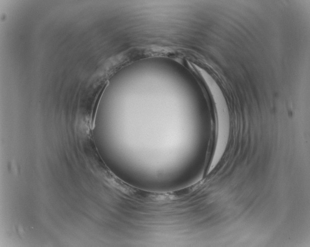 X0000073730621200608311846