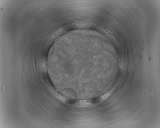 X0000073730622200608311846