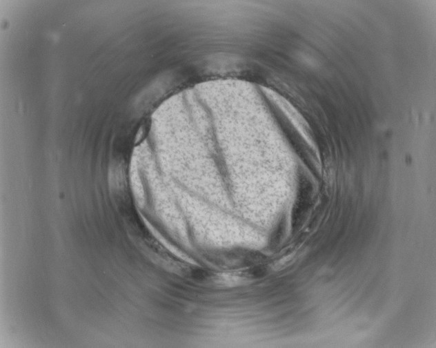 X0000073730623200608311846