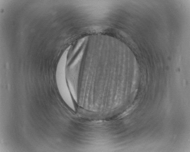 X0000073730624200608311846