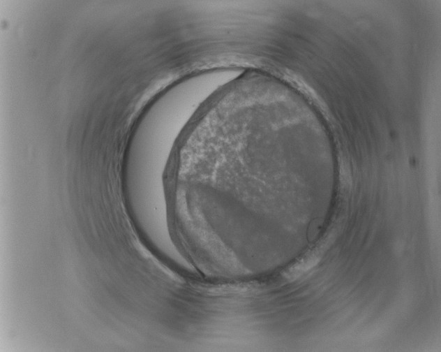 X0000073730625200608311846