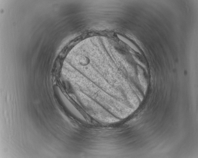 X0000073730626200608311846