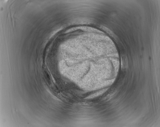 X0000073730627200608311846