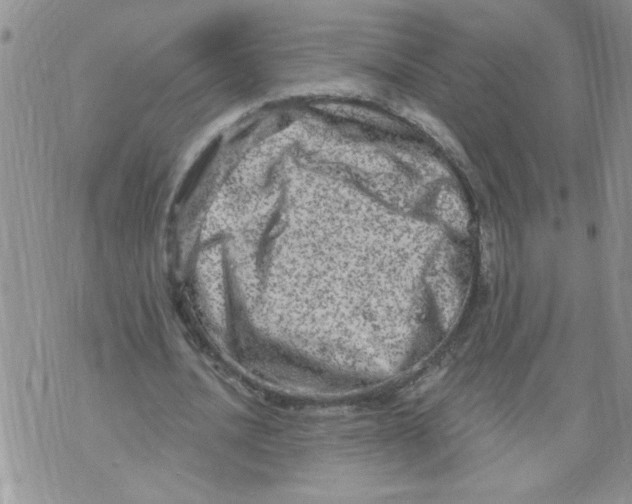 X0000073730628200608311846