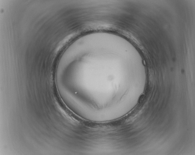 X0000073730629200608311846