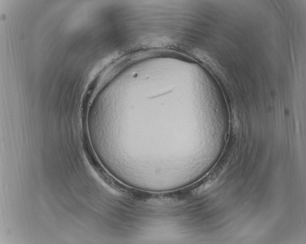 X0000073730630200608311846