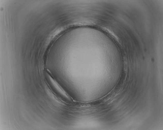 X0000073730631200608311846