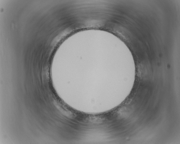 X0000073730632200608311846