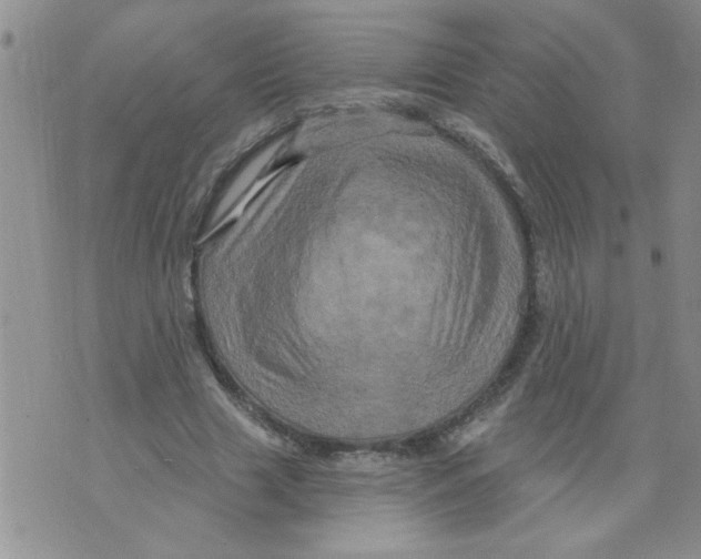 X0000073730633200608311846