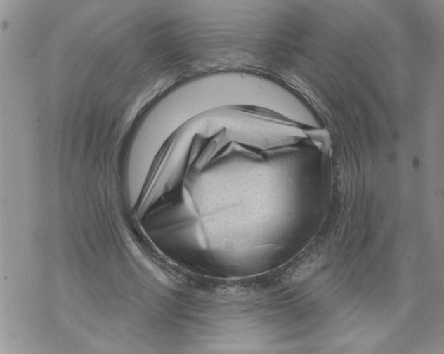 X0000073730634200608311846