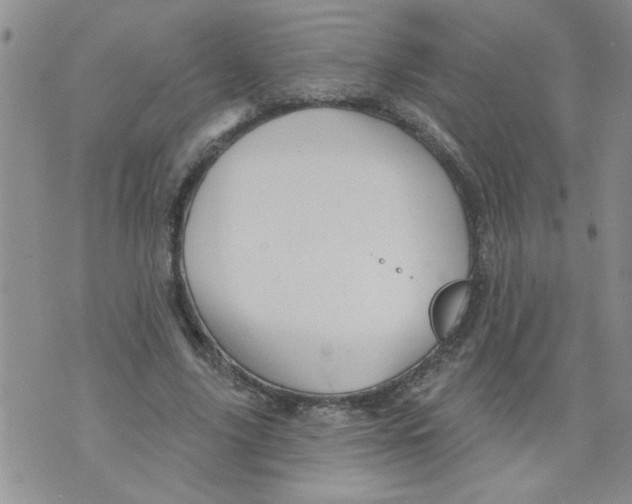 X0000073730635200608311846