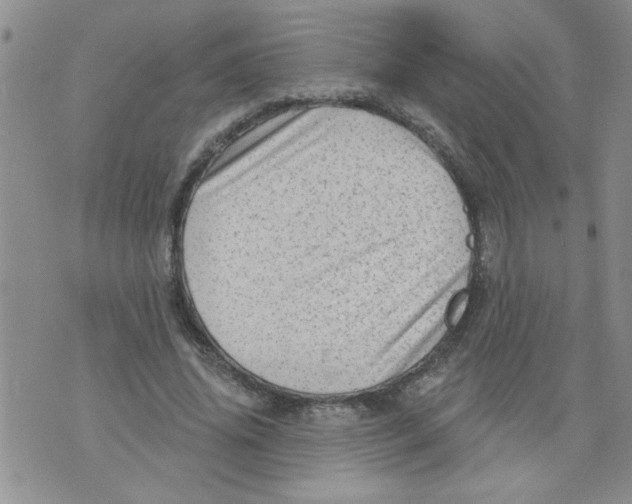 X0000073730636200608311846