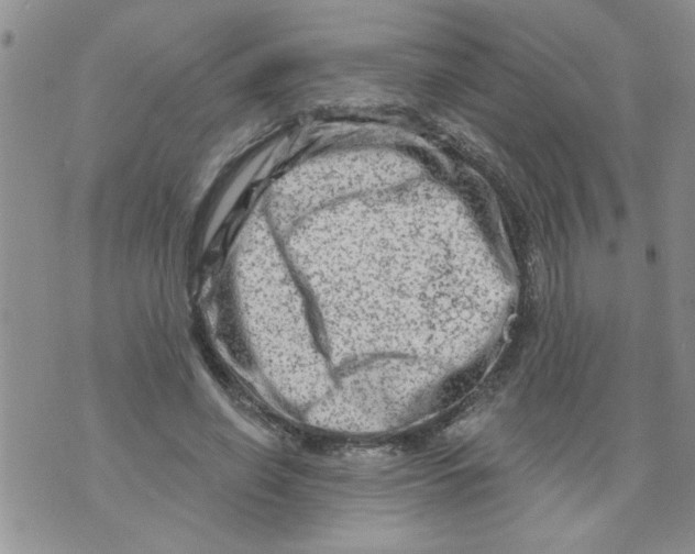 X0000073730638200608311846