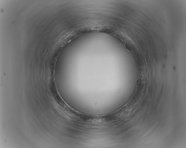 X0000073730639200608311846