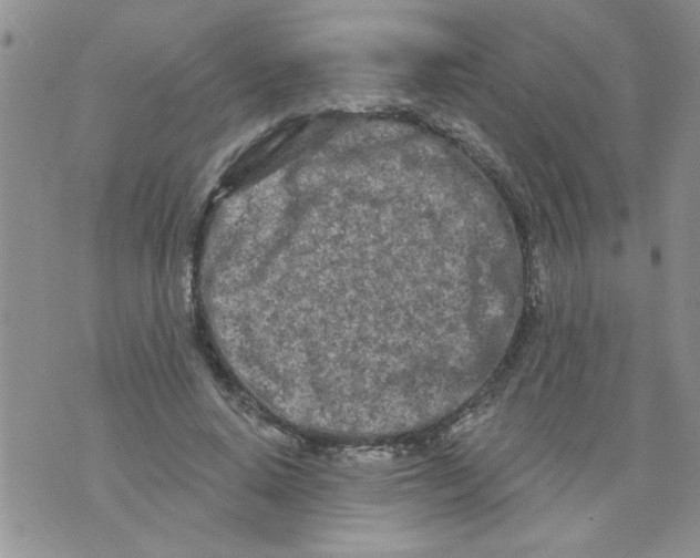 X0000073730640200608311846