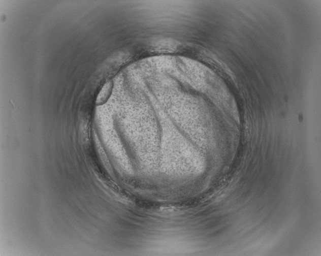 X0000073730641200608311846