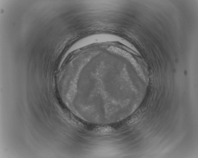 X0000073730642200608311846