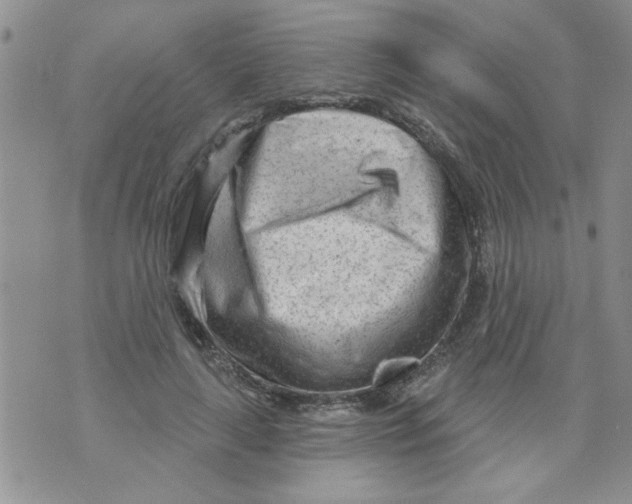 X0000073730643200608311846