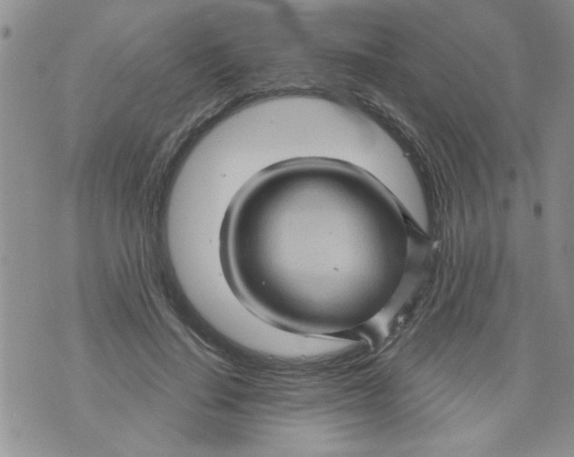 X0000073730644200608311846