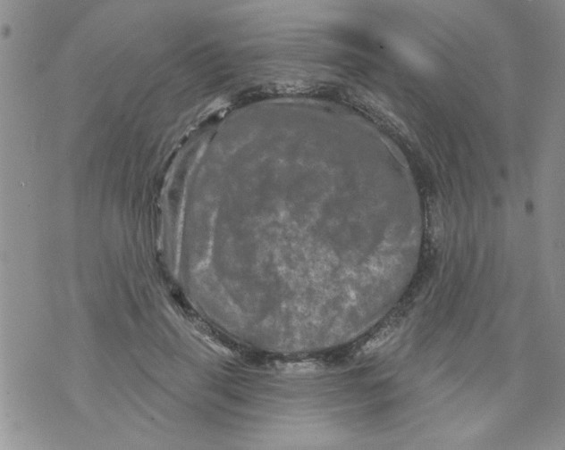 X0000073730645200608311846