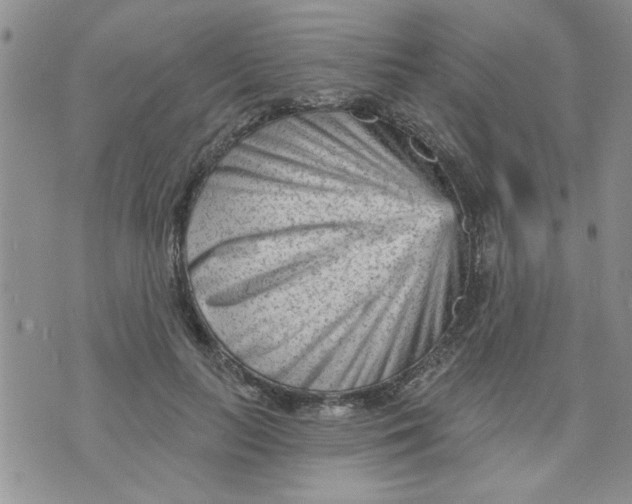 X0000073730647200608311846