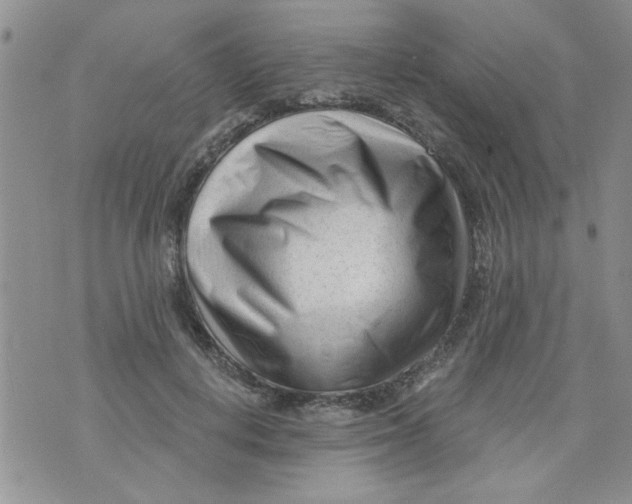 X0000073730648200608311846