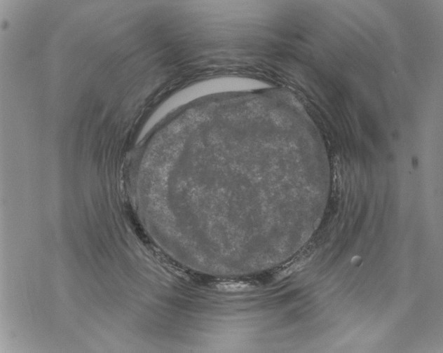 X0000073730650200608311846