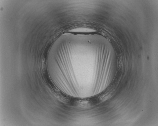 X0000073730651200608311846