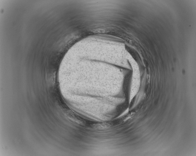 X0000073730652200608311846