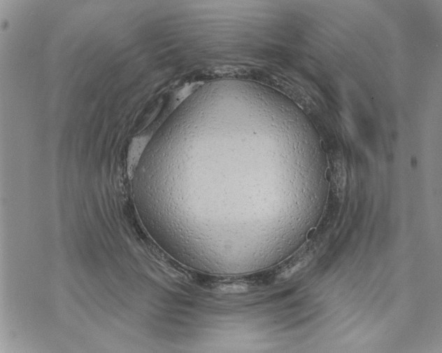 X0000073730653200608311846