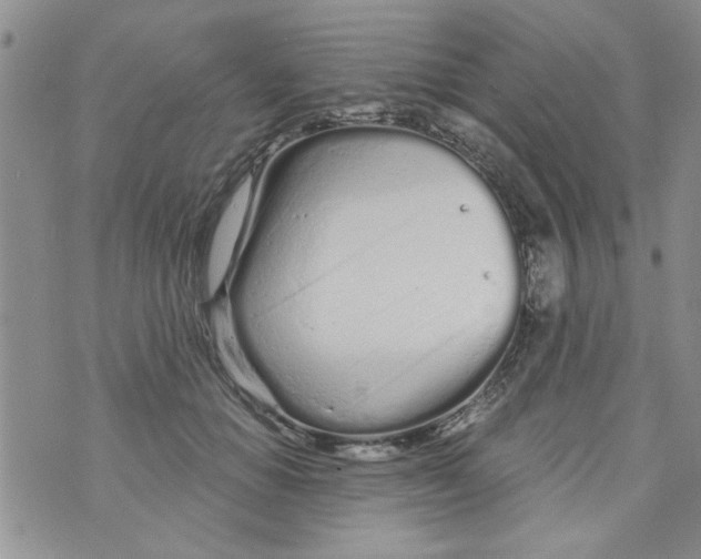 X0000073730654200608311846