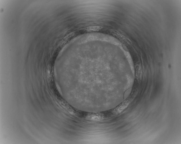 X0000073730655200608311846