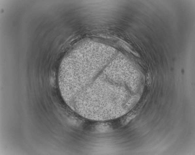 X0000073730656200608311846