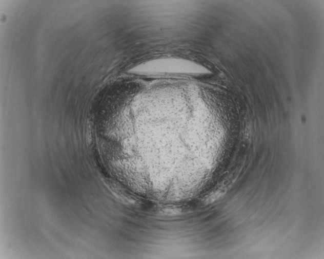 X0000073730658200608311846