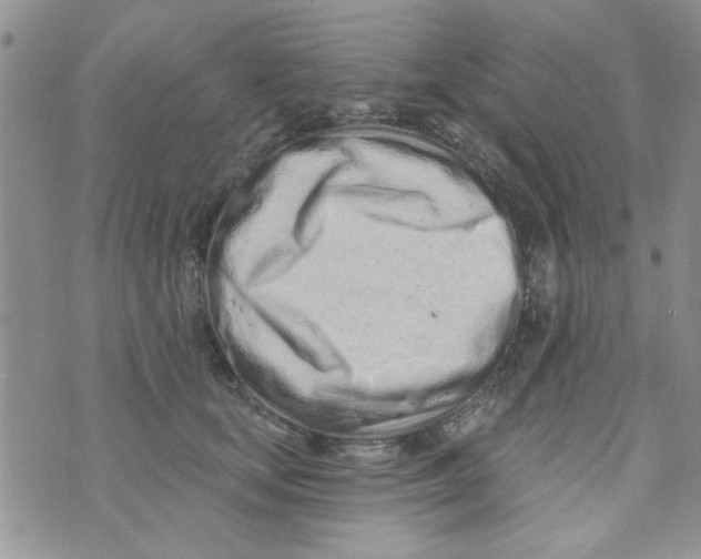 X0000073730659200608311846