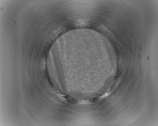 X0000073730660200608311846