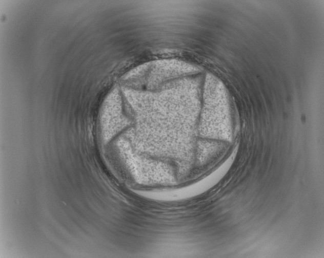 X0000073730662200608311846