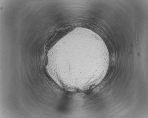 X0000073730663200608311846