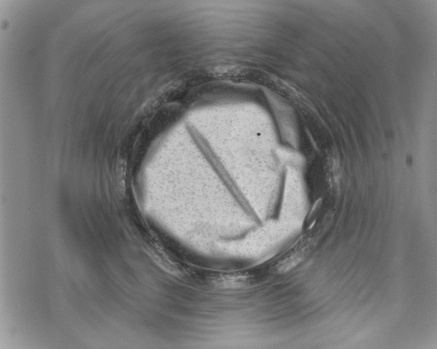 X0000073730664200608311846