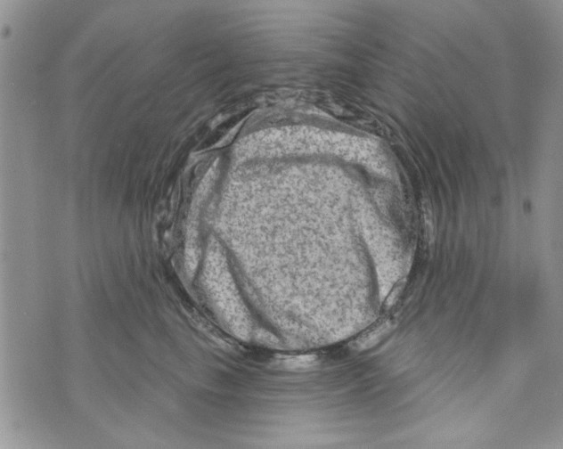 X0000073730665200608311846