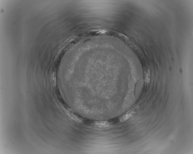 X0000073730666200608311846