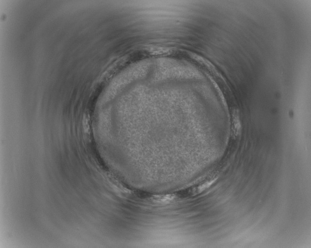 X0000073730667200608311846