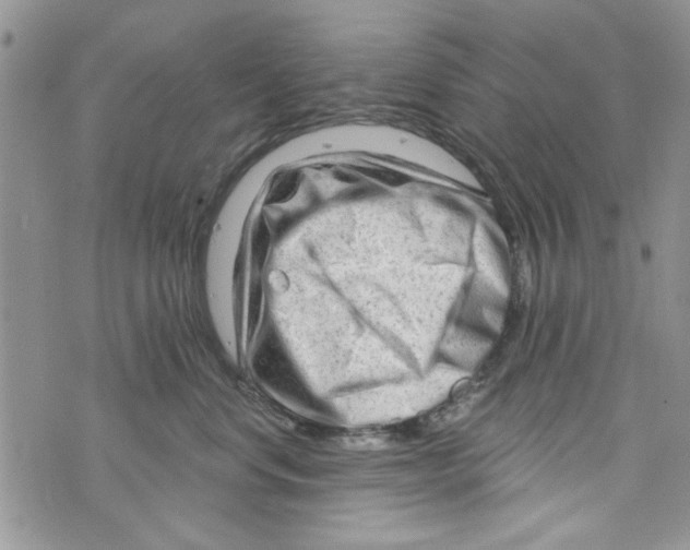 X0000073730668200608311846