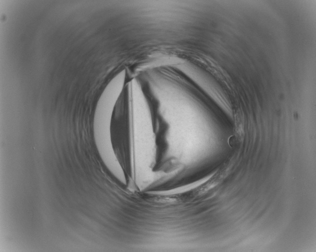 X0000073730669200608311846