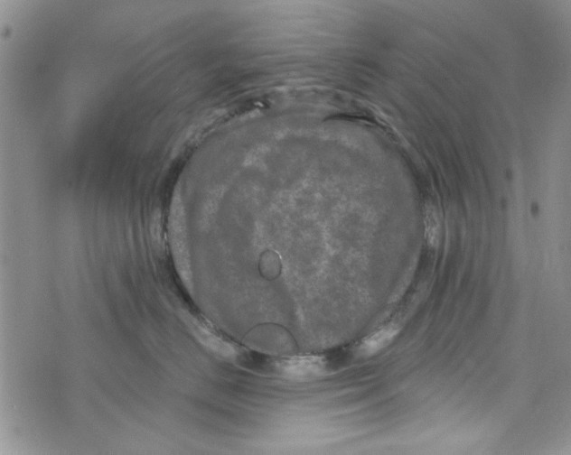 X0000073730670200608311846