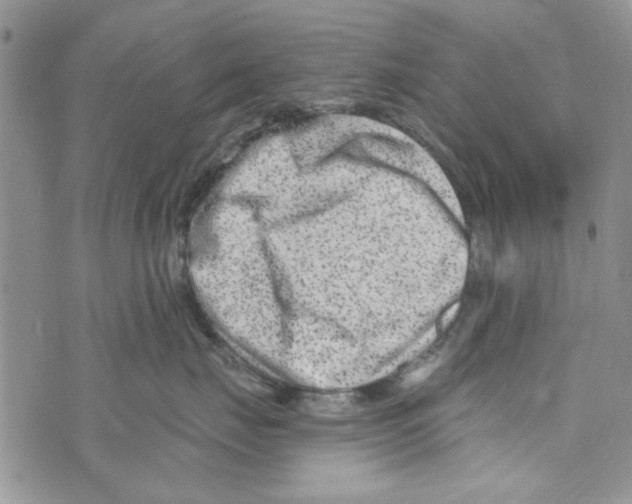 X0000073730671200608311846