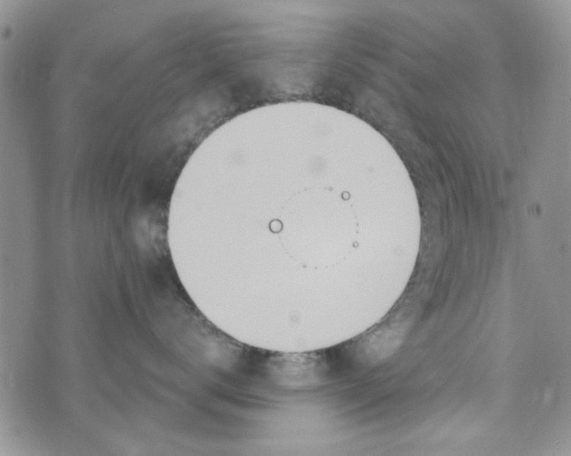 X0000073730672200608311846