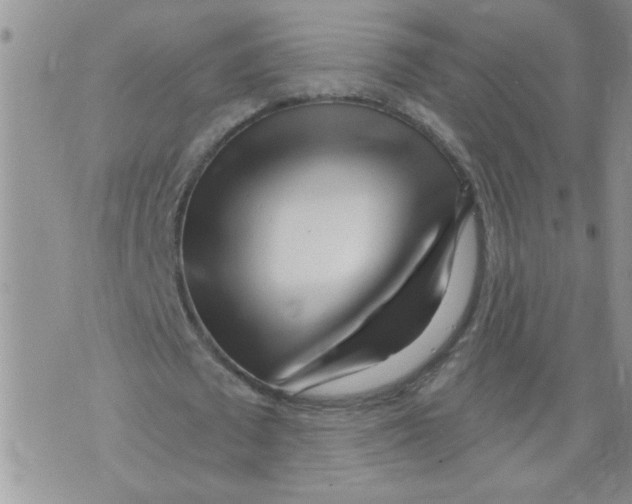 X0000073730673200608311846