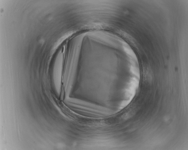 X0000073730674200608311846